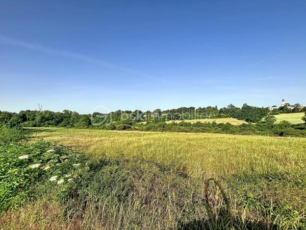 Parcelles agricoles d’une surface totale de 36 469 m², composées principalement de prairies ainsi que d’une partie boisée.

Situées à proximité immédiate du bourg de Faye-l’Abbesse (79350), elles bénéficient d’un accès facile et d’un environnement agréable.

Idéal pour un projet agricole, de pâturage ou de maraîchage