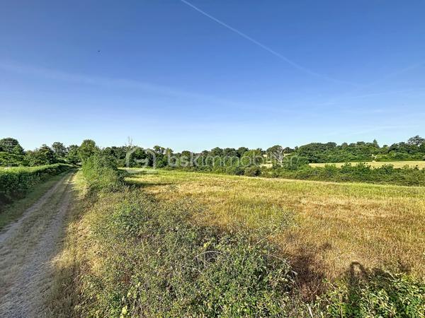 Parcelles agricoles d’une surface totale de 36 469 m², composées principalement de prairies ainsi que d’une partie boisée.

Situées à proximité immédiate du bourg de Faye-l’Abbesse (79350), elles bénéficient d’un accès facile et d’un environnement agréable.

Idéal pour un projet agricole, de pâturage ou de maraîchage