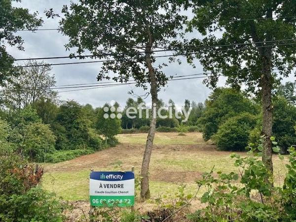 Terrain - 8300 m² Exclusivité efficity