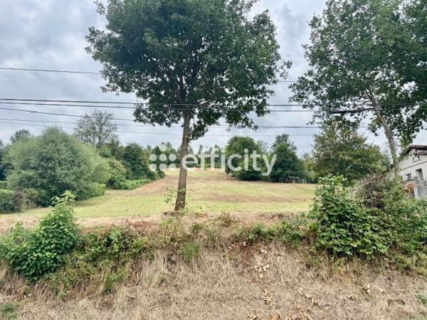 Terrain - 8300 m² Exclusivité efficity
