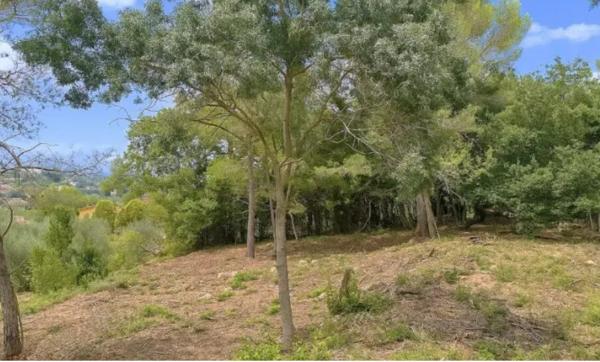 Mouans Sartoux Castellaras terrain 1 638 m² libre constructeur 598 000 €