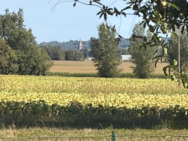 PLAISANCE(32) du Gers: AUTHENTIQUE LONGERE XVIIIs de 240m2, 4chambres, sur jardin paysagé clos de 2.500m2 et piscine hors sol, possibilité de chambres d hotes et/ou petit gîte ou accueil d'un parent,
