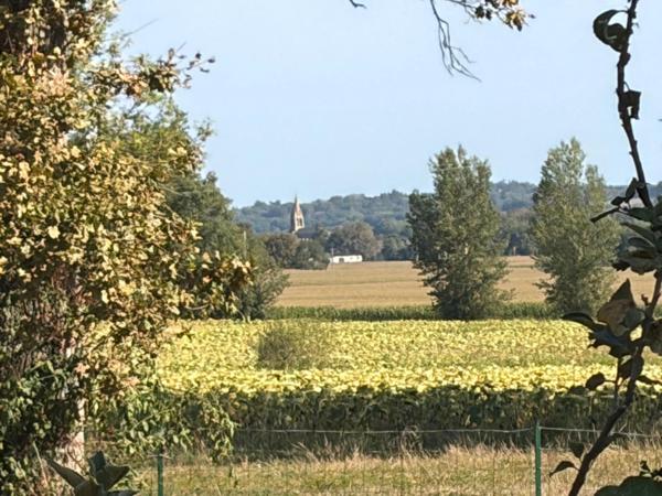 PLAISANCE(32) du Gers: AUTHENTIQUE LONGERE XVIIIs de 240m2, 4chambres, sur jardin paysagé clos de 2.500m2 et piscine hors sol, possibilité de chambres d hotes et/ou petit gîte ou accueil d'un parent,