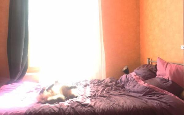 Appartement à louer    3 pièces • 51,37 m2 Rouen