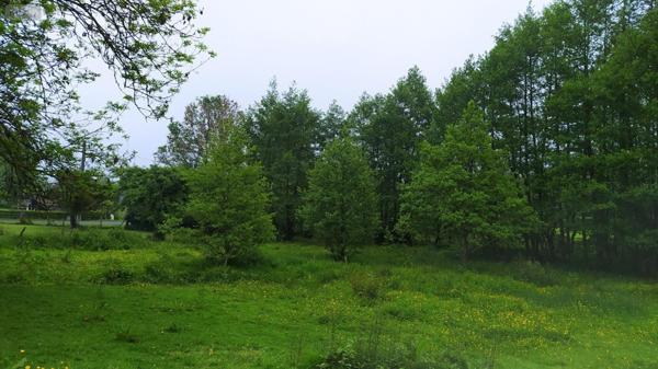 Terrain à Batir à vendre à Tinchebray Bocage dans l'Orne (61800), ref : V93-FRENES