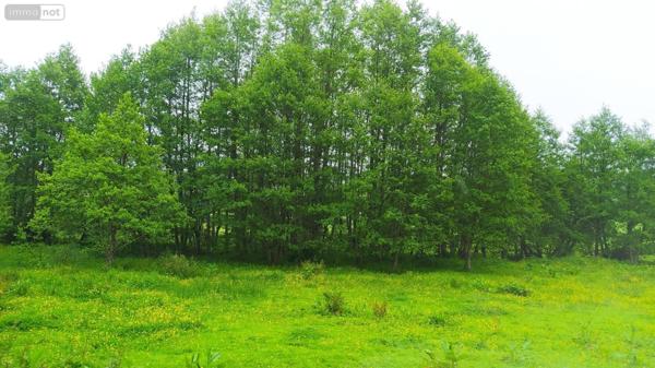 Terrain à Batir à vendre à Tinchebray Bocage dans l'Orne (61800), ref : V93-FRENES