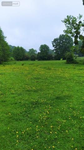Terrain à Batir à vendre à Tinchebray Bocage dans l'Orne (61800), ref : V93-FRENES