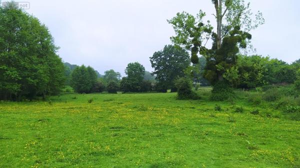 Terrain à Batir à vendre à Tinchebray Bocage dans l'Orne (61800), ref : V93-FRENES