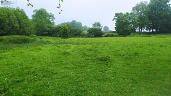 Terrain à Batir à vendre à Tinchebray Bocage dans l'Orne (61800), ref : V93-FRENES