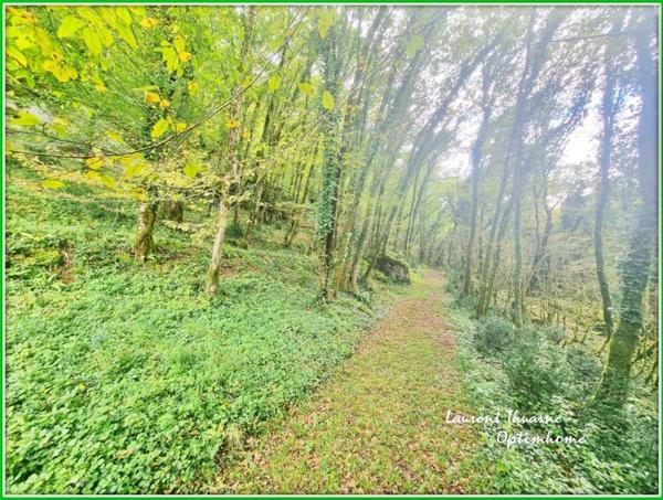 Propriété 10 pièces 231 m² avec gîte et piscine