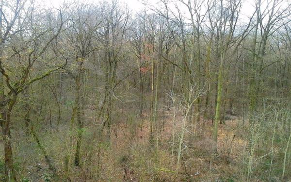 Appartement à louer    3 pièces •  Fleury-Mérogis