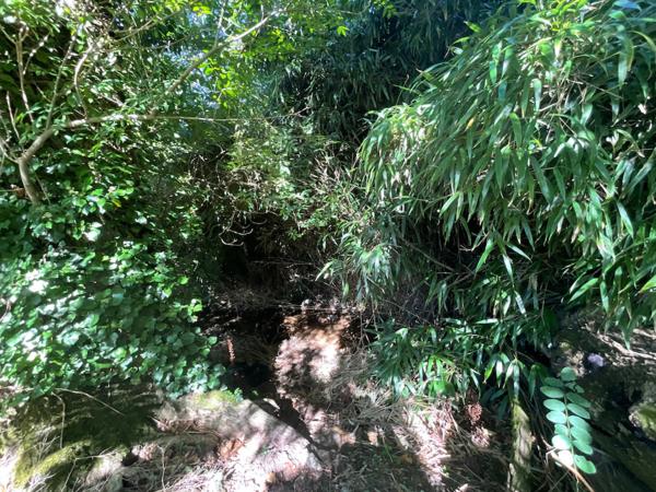 Propriete à vendre 13 pièces AIGUEFONDE (81)