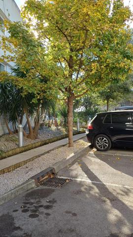 Appartement de 62,50 m²