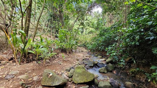 Terrain 1439 m² LAMENTIN