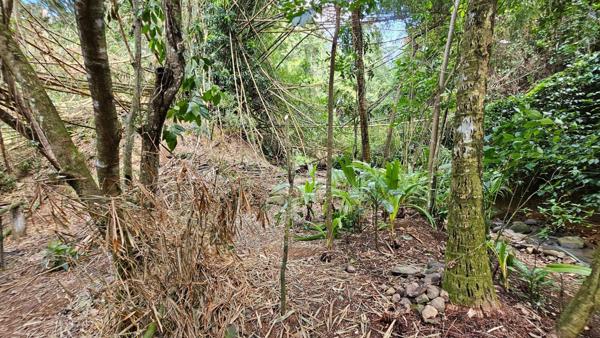 Terrain 1439 m² LAMENTIN