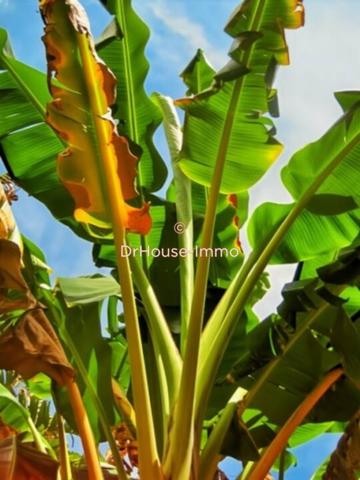 Maison à vendre 5 pièces de 130 m²