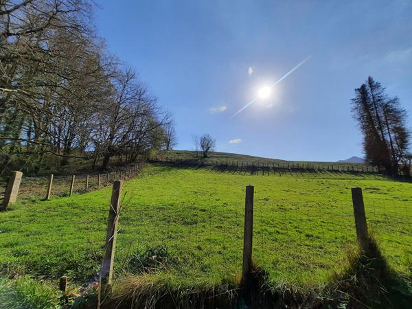 Terrain Sare 600 m2