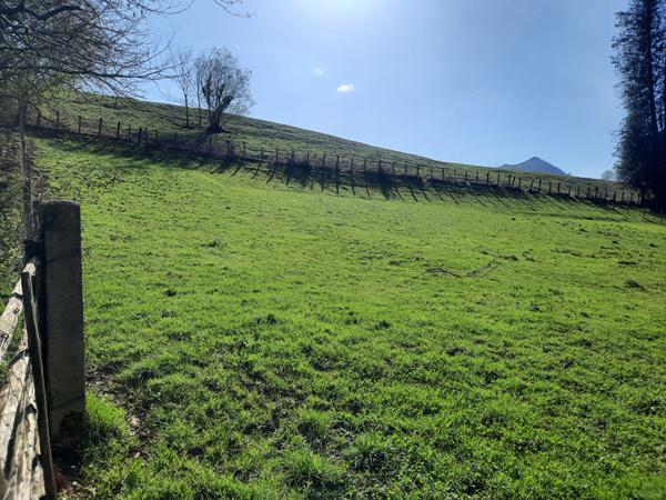 Terrain Sare 600 m2