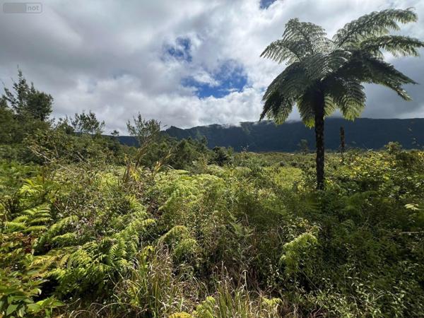 Terrain à Batir à vendre à La Plaine-des-Palmistes à la Réunion (97431), ref : 97405/247