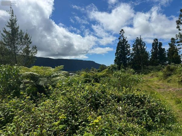 Terrain à Batir à vendre à La Plaine-des-Palmistes à la Réunion (97431), ref : 97405/247