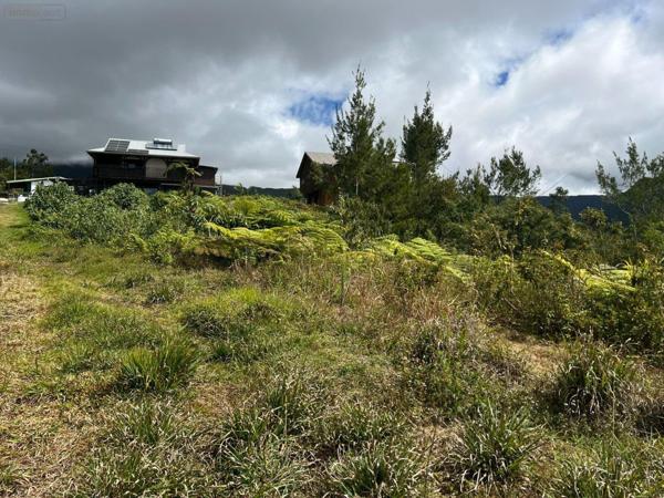 Terrain à Batir à vendre à La Plaine-des-Palmistes à la Réunion (97431), ref : 97405/247