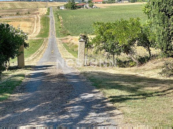 A vendre Maison Nougaroulet 6 pieces 185 m2 sans voisinage 7750m2 de terrain au calme.