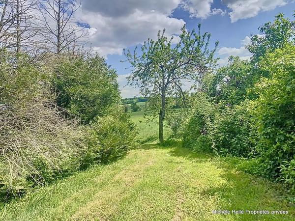 Maison Ancerviller 7 pièce(s) 210 m2, possibilité de faire un studio au RDC