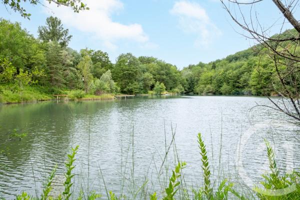 Maison à vendre  13 pièces - 325 m2 CHALABRE - 11