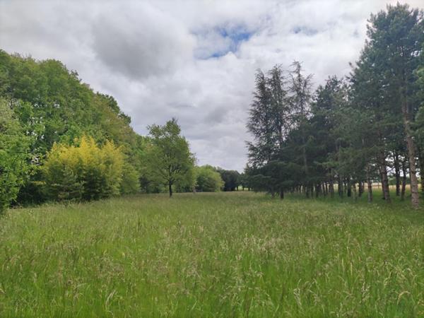 Terrain de chasse et de loisirs Mignaloux Beauvoir