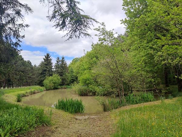 Terrain de chasse et de loisirs Mignaloux Beauvoir