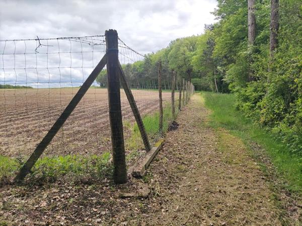 Terrain de chasse et de loisirs Mignaloux Beauvoir