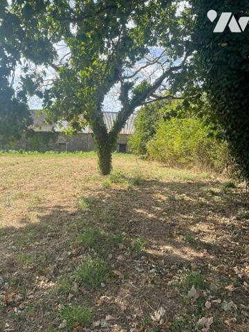 Bâtisse à restaurer 