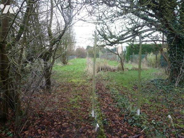 Vente maison à OIGNIES