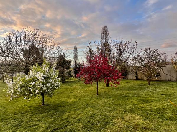 Beautiful Character Property with Luxury Gîte and Heated Pool