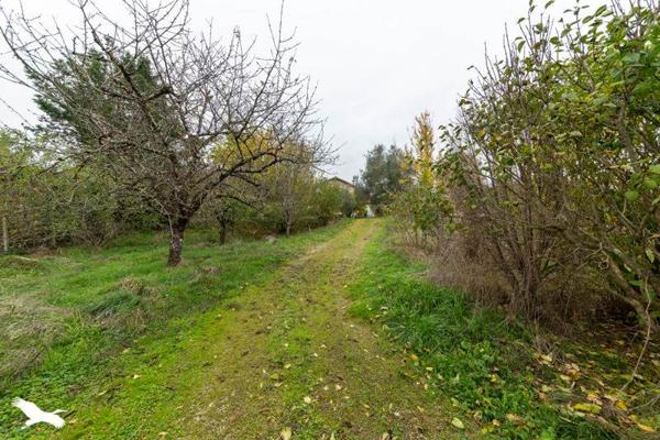 Maison à vendre |  Finhan |  7 pièces | 306 m²