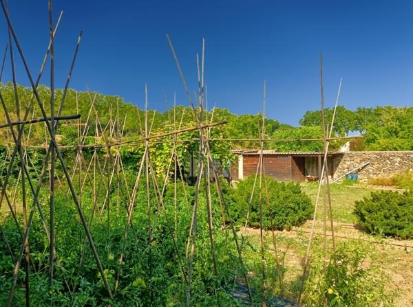 Nizas (34320) Proximité de Pézenas, superbe jardin potager clôturé de murs en pierre, compteur d'eau de jardin et magnifique