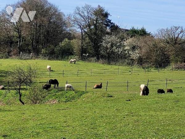 Charme et authenticité pour cet ancien moulin rénové. Amoureux de vieilles pierres, de nature e...