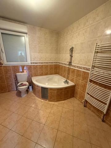 Maison à vendre 5 pièces DOMBASLE SUR MEURTHE (54)