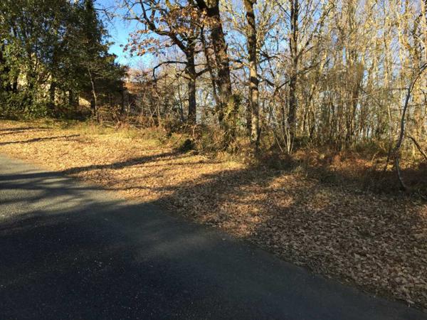 Terrain constructible - Saint-cyprien Terrain constructible boise