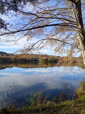 PROPRIETE DE 3 APPARTEMENTS À CÔTÉ DU PLAN D’EAU