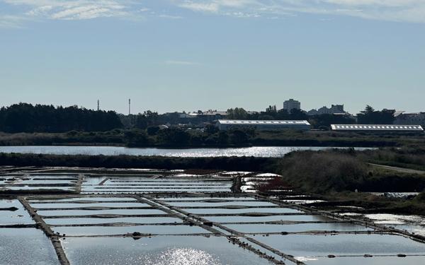 Maison à vendre    7 pièces •  Guérande