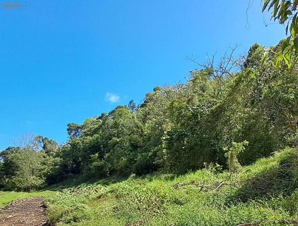 Terrain à Batir à vendre à Le Gosier en Guadeloupe (97190), ref : 15056/144