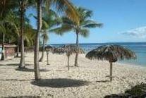 Nouveauté 
Delphine MIRANDA pour BSK Immobilier 

Saint François - Anse des Rochers
Célèbre site doté d'une magnifique cocoteraie s'étendant sur 7 hectares , d'un accès plage direct , d'un restaurant de plage, d'une grande
piscine à débordement vue mer, d'un cours de tennis et d'un service de gardiennage avec accès sécurisé, le domaine de l' Anse des Rochers
est sans conteste le lieu par excellence voué à un investissement locatif saisonnier.

Je vous propose ce studio d'une surface habitable de 30 m 2  avec une jolie vue dégagée sur le parc de la résidence, la piscine à débordement et la mer bien entendu !
Il se compose d'une entrée avec placards, une salle d'eau avec douche coin buanderie et toilettes.
La pièce à vivre climatisée propose un grand lit et un lit en 90 soit 3 couchages et un espace télé.
Baie vitrée à galandage séparant l'espace nuit de la terrasse.
La loggia (fermeture par volets roulants) abrite la cuisine équipée avec cette jolie vue grâce à son exposition côté cocoteraie.
Vendu meublé , idéal investisseurs !

N'hésitez pas à me demander la vidéo ou de plus amples informations , merci de privilégier le premier contact par appel ou sms whatsapp.

Etiquette énergétique : classe B 
Les charges de copropriété incluent le fond de roulement du syndic, l'eau, l'électricité, entretien des communs et espaces verts, service de gardiennage, fond de travaux ...
