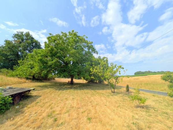 Maison en pierre économe en énergie, dépendances et près de 8 000 m² de terrain