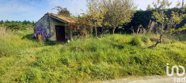 Maison à vendre 5 pièces 236 m² Saint-Bonnet-sur-Gironde