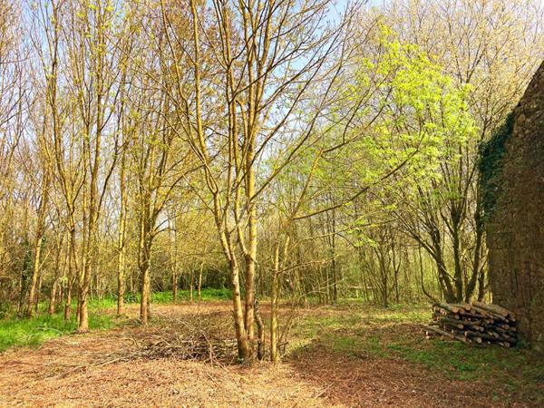 Terrain de loisirs, culture, et stockage avec bâtiments en pierres