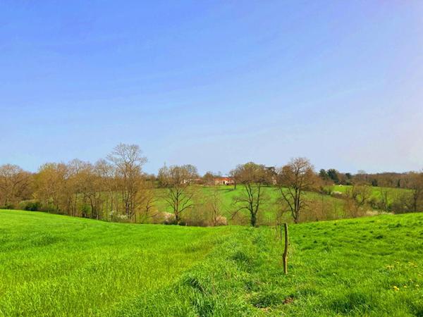 Terrain de loisirs, culture, et stockage avec bâtiments en pierres