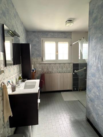 Maison F 5 sur terrain de 13 ares arboré dans une impasse