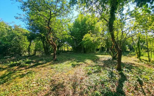 Maison à vendre    3 pièces •  Le Puiset