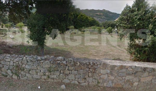 Terrain plat à vendre à Calvi, surface de 945 m²
